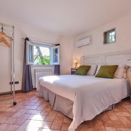 La Casetta Nel Bosco - Hot Tube And Sauna Lierna Ngoại thất bức ảnh